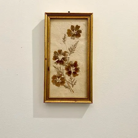 Casa Genova 1/2/3 アパート *